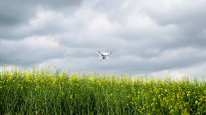 포토 JPG 해외이미지 꽃 실루엣 산업 백그라운드 밭 농업 모션 하늘 산 안테나 사람없음 파란색 장난감 노란색 카메라 디지털 장비 시골 관찰 4 작음 통제 무선전화기 스마트 로봇 유채 흐림 혁명 뇌우 드론 제어 획기적 해외포토 식물 컬러 컨셉 통신 날씨 촬영기법 전자제품 숫자 크기 전화기 파일형식 이미지허브