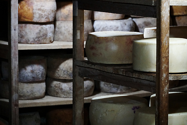 포토 JPG 해외이미지 직업 산업 비즈니스 공장 선반 건조 사람없음 내부 노란색 쌓기 상점 방 우유 바퀴 원형 양념 소 제조 주식 먹이 창고 네덜란드 상업 만들기 수납 덩어리 단백질 매각 방법 밭일 신발장 영양분 줄서기 지하실 노화 해외포토 도형 유럽 컬러 가구 컨셉 포유류 공업 모션 유제품 금융 영양소 파일형식 이미지허브