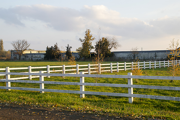 포토 JPG 해외이미지 나무 밭 농업 거리 풍경 잔디 사람없음 야외 목재 초록색 여름 울타리 농장 평화 우주 검은색 침묵 목장 흰색 경계선 시골 재산 장애물 땅 대문 먼지 장면 방목장 소멸 해외포토 식물 계절 산업 선 컬러 컨셉 재료 금융 담장 문 소리 경계 파일형식 이미지허브