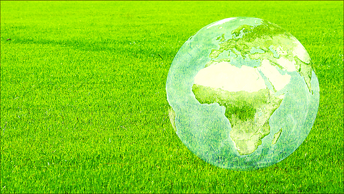 포토 JPG 해외이미지 식물 계절 스포츠 백그라운드 패턴 밭 농업 자연 벽지 밥 날씨 추상 휴식 사람없음 야외 초록색 빛 세계 농장 우주 환경 정원 축구 봄 활발 시골 신선 변화 땅 질감 장면 내추럴 생태학 수평선 해외포토 교육 산업 음식 컬러 컨셉 무늬 구기 생태계 파일형식 이미지허브