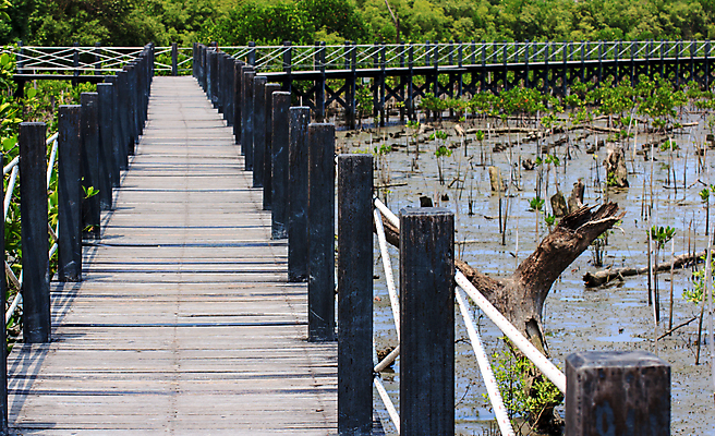 포토 JPG 해외이미지 나무 식물 공원 아시아 도로 길 호수 여행 자국 자연 사람없음 야외 목재 초록색 물 정원 침묵 산책 산책로 하이킹 탐험 터널 숲 오솔길 방향 장면 옛날 해외포토 자연요소 공공시설 나라 컬러 재료 교통시설 레저 휴식 소리 생태계 파일형식 이미지허브