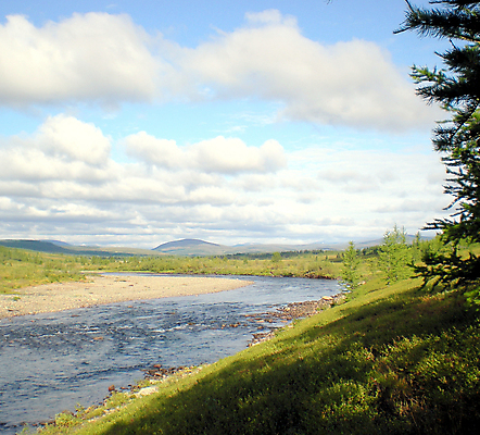 포토 JPG 해외이미지 야생동물 여행 자연 산 풍경 사람없음 야외 물 여름 빛 강 환경 계곡 일몰 절벽 흐름 흰색 숲 북극 러시아 카약 북쪽 동쪽 내추럴 러시아인 시베리아 해외포토 자연요소 서양인 동물 계절 유럽 컬러 컨셉 노을 수상스포츠 극지방 방향 생태계 파일형식 이미지허브