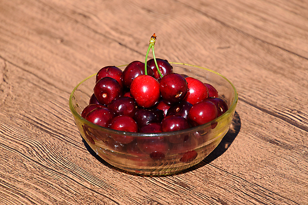 포토 JPG 해외이미지 실내 사람없음 체리 담기 유리그릇 해외포토 그릇 과일 모션 유리 내부 파일형식 이미지허브