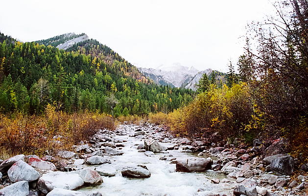 포토 JPG 해외이미지 나무 구름 호수 여행 백그라운드 자연 하늘 산 풍경 사람없음 야외 초록색 물 여름 파란색 컬러풀 계곡 농사 맑음 바위 숲 시리얼 그림 러시아 천국 내추럴 밭일 생태학 시베리아 해외포토 자연요소 식물 계절 교육 유럽 음식 컬러 농업 날씨 돌_바위 생태계 파일형식 이미지허브