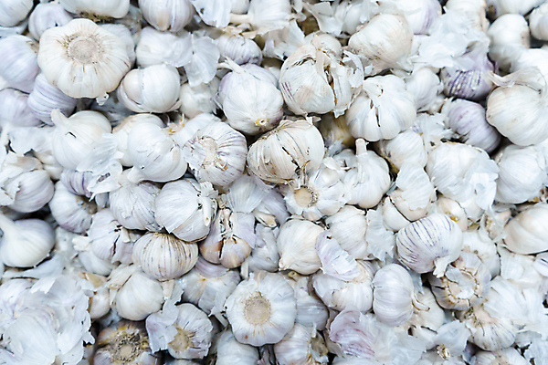 포토 JPG 해외이미지 식물 잡화 음식 백그라운드 농업 채소 재료 전구 마늘 사람없음 약 머리 쌓기 상점 정원 수확 흰색 신선 조미료 그룹 시장 맛 상품 다발 허브 향신료 오브젝트 에코 유기농 질감 매움 날것 냄새 향 흙더미 내추럴 숙성 옛날 채식주의자 많음 해외포토 웰빙 산업 컬러 컨셉 의학 모션 신체부위 환경 흙 채식 향미료 파일형식 더미 이미지허브