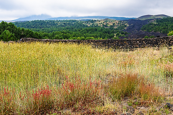 포토 JPG 해외이미지 구름 공원 꽃 유럽 백그라운드 자연 하늘 산 파노라마 풍경 사람없음 검은색 이탈리아 하이킹 흐름 바위 정상 폭발 지중해 언덕 화산 장면 분화구 용암 내추럴 재 전국 절정 지질학 해외포토 자연요소 식물 공공시설 교육 나라 바다 컬러 컨셉 레저 촬영기법 돌_바위 생태계 파일형식 이미지허브