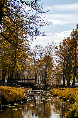 포토 JPG 해외이미지 나무 구름 호수 여행 잎 자국 산 풍경 사람없음 목재 물 여름 강 반사 노란색 계곡 가을 연못 황금 숲 언덕 러시아 파운드 파라다이스 해외포토 자연요소 식물 계절 유럽 컬러 돈 재료 파일형식 이미지허브