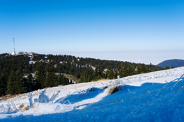 포토 JPG 해외이미지 나무 구름 계절 여행 백그라운드 북아메리카 겨울 자연 하늘 날씨 새해 산 풍경 사람없음 야외 관광지 뷰티 마을 환경 냉동 얼음 어둠 추위 농촌 시골 소나무 야간 숲 12월 언덕 서리 타운 산봉우리 전나무 삼림지대 콜로라도 눈내림 산맥 해외포토 자연요소 식물 눈_날씨 아메리카 미국 도시 날짜 생태계 봉우리 파일형식 이미지허브