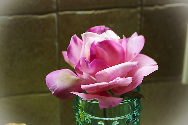 포토 JPG 해외이미지 꽃잎 꽃 분홍색 꽃다발 결혼 백그라운드 꽃무늬 오렌지 디저트 기념 이벤트 사람없음 장식 컬러풀 장미 파티 케이크 활발 벚꽃 축하 생일 우아함 닫기 달콤 설탕 가득함 크림 부드러움 수공예 강렬 거짓 식용 파스텔톤 핸드메이드 프로스팅 해외포토 식물 기념일 음식 컬러 컨셉 무늬 과일 모션 감각 맛 공예 제빵 파일형식 이미지허브