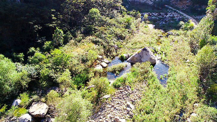 포토 JPG 해외이미지 나무 공원 유럽 아시아 여행 백그라운드 밭 자연 하늘 휴가 산 주택 경사 사람없음 야외 초록색 물 파란색 강 컬러풀 마을 정원 계곡 중국 폭포 시골 보트 재산 숲 큼 언덕 베이징 내추럴 드론 옛날 전국 해외포토 자연요소 식물 공공시설 나라 컬러 농업 배_교통 건물 금융 크기 생태계 파일형식 이미지허브