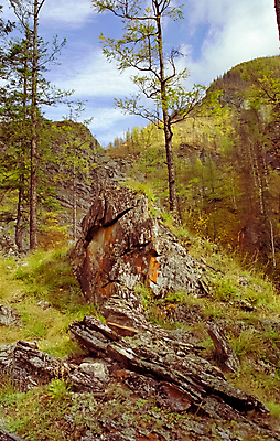 포토 JPG 해외이미지 나무 호수 여행 밭 자연 하늘 휴가 산 사람없음 야외 초록색 물 파란색 농장 골짜기 계곡 농사 맑음 숲 신비 시리얼 그림 러시아 천국 시베리아 해외포토 자연요소 식물 유럽 음식 컬러 컨셉 농업 날씨 생태계 파일형식 이미지허브