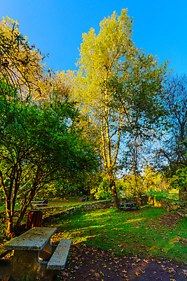 포토 JPG 해외이미지 나무 공원 여행 잎 자연 탁자 국립공원 사람없음 초록색 물 관광지 컬러풀 소풍 봄 개울 숲 예루살렘 이스라엘 해외포토 자연요소 식물 계절 공공시설 컬러 가구 강 야외활동 생태계 서아시아 파일형식 이미지허브