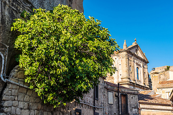 포토 JPG 해외이미지 나무 공원 여행 건축양식 자연 하늘 산 주택 파노라마 협상 풍경 경사 사람없음 야외 건물 여름 도시풍경 교회 마을 골짜기 계곡 이탈리아 시골 도시 중세 지중해 언덕 북쪽 타운 무화과 옛날 전국 해외포토 식물 건축물 계절 공공시설 건축 유럽 바다 과일 비즈니스 종교건축 촬영기법 역사 방향 생태계 파일형식 이미지허브