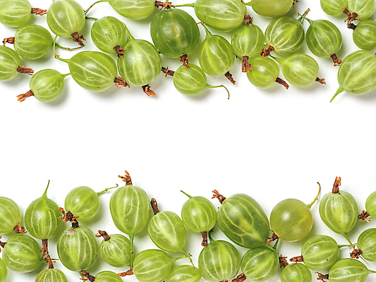 포토 JPG 해외이미지 사람없음 초록색 하이앵글 구스베리 카피스페이스 해외포토 열매 뷰포인트 컬러 공백 파일형식 이미지허브