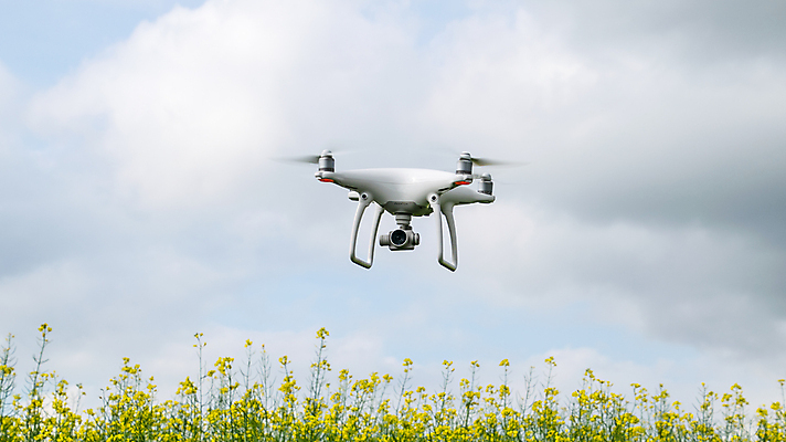 포토 JPG 해외이미지 하늘 사람없음 야외 카메라 스마트 로봇 유채 드론 해외포토 꽃 컨셉 전자제품 파일형식 이미지허브