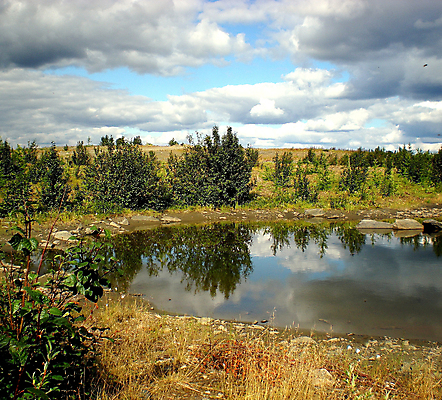 포토 JPG 해외이미지 야생동물 여행 백그라운드 자연 하늘 풍경 사람없음 야외 목재 물 여름 강 반사 여행객 계곡 절벽 하이킹 흐름 바위 숲 북극 언덕 러시아 지형 북쪽 멀리 내추럴 생태학 시베리아 화강암 해외포토 자연요소 나무 동물 계절 교육 유럽 컨셉 재료 레저 사람 암석 돌_바위 극지방 방향 생태계 파일형식 이미지허브