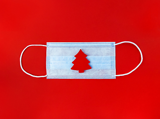 포토 JPG 해외이미지 모양 나무 디자인 얼굴 백그라운드 컨셉 크리스마스 휴가 새해 흑백 가면 사람없음 목재 장식 빨간색 파란색 장난감 약 축제 흰색 신용카드 바이러스 보호 질병 정상 서식 레이아웃 엽서 전염병 미니멀리스트 미니멀 해외포토 식물 기념일 컬러 재료 의학 촬영기법 신체부위 금융 편지 파일형식 이미지허브