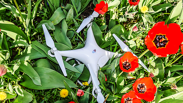 포토 JPG 해외이미지 식물 직업 꽃잎 꽃 백그라운드 컨셉 모션 새로움 아이디어 안테나 잔디 사람없음 빨간색 카메라 우주 디지털 정원 봄 장비 튤립 흰색 관찰 도움 4 헬리콥터 작음 밀 통제 로봇 프로펠러 만들기 화단 감시 멀리 드론 제어 해외포토 계절 컬러 통신 곡류 비행기 전자제품 숫자 크기 파일형식 이미지허브