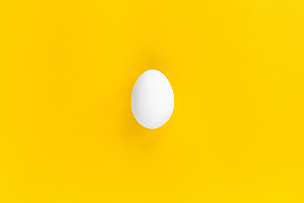 포토 JPG 해외이미지 실내 사람없음 노란색 계란 미니멀 해외포토 컬러 내부 알 파일형식 이미지허브