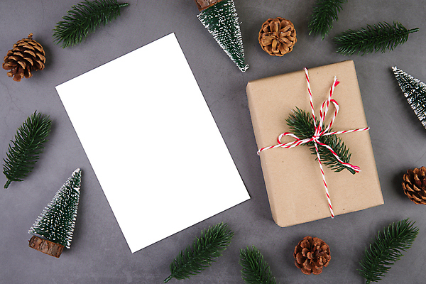 포토 JPG 해외이미지 종이 크리스마스 프레임 사람없음 선물상자 회색 나뭇가지 소나무 솔방울 목업 해외포토 나무 기념일 컬러 선물 상자 파일형식 이미지허브