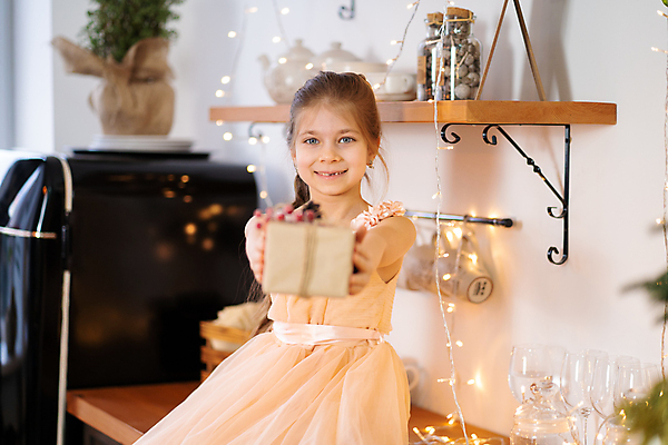 포토 JPG 해외이미지 나무 백인 1 손 계절 여자 행복 감정 리본 얼굴 어린이 백그라운드 크리스마스 겨울 휴가 새로움 주택 선물 한명 미소 사람 장식 빨간색 빛 상자 뷰티 놀람 기쁨 축하 잡기 연도 주기 해외포토 서양인 식물 기념일 컬러 컨셉 모션 표정 건물 신체부위 파일형식 이미지허브