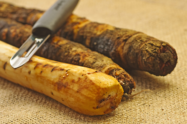 포토 JPG 해외이미지 채소 요리 사람없음 철 뿌리 단백질 스페인어 옛날 칼슘 해외포토 영양소 파일형식 이미지허브