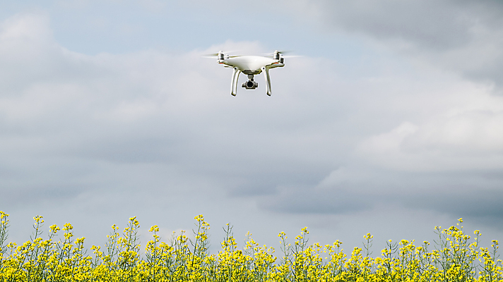 포토 JPG 해외이미지 하늘 사람없음 야외 카메라 스마트 로봇 유채 드론 해외포토 꽃 컨셉 전자제품 파일형식 이미지허브