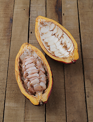 포토 JPG 해외이미지 음식 농업 과일 재료 자연 콩 씨앗 사람없음 목재 빨간색 초콜릿 수확 흰색 신선 유기농 날것 슬라이스 아로마 코코아 내추럴 꼬투리 숙성 이국적 카카오 해외포토 나무 식물 웰빙 산업 음료 컬러 디저트 곡류 생태계 파일형식 이미지허브