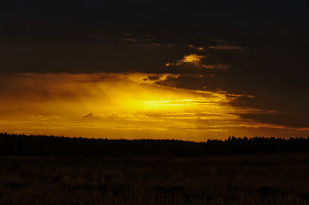 포토 JPG 해외이미지 나무 식물 구름 계절 공원 백그라운드 잎 밭 자연 하늘 아침 날씨 산 따뜻함 풍경 경사 사람없음 야외 건물 초록색 여름 빛 컬러풀 햇빛 태양 환경 계곡 봄 가을 신선 숲 언덕 천국 내추럴 해외포토 주간 자연요소 건축물 공공시설 컬러 농업 생태계 파일형식 이미지허브