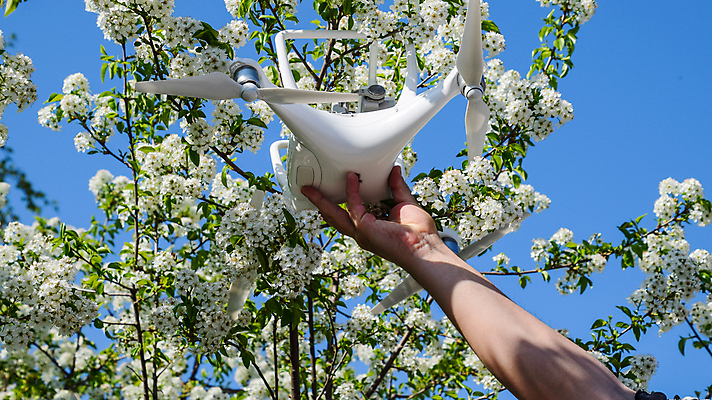 포토 JPG 해외이미지 나무 식물 손 사람없음 카메라 정원 봄 장비 나뭇가지 잡기 사건 로봇 프로펠러 화단 자두 드론 혼란 해외포토 계절 컨셉 과일 모션 신체부위 전자제품 파일형식 이미지허브