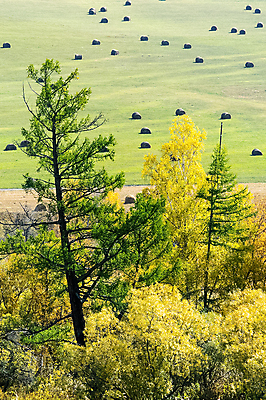 포토 JPG 해외이미지 나무 구름 백그라운드 자연 산 파노라마 풍경 경사 사람없음 야외 초록색 파란색 환경 안개 시골 소나무 황무지 가장자리 떨어짐 숲 큼 땅 장면 침엽수 멀리 전나무 깊이 삼림지대 옛날 가문비나무 해외포토 자연요소 식물 컬러 컨셉 날씨 촬영기법 둘레 크기 생태계 파일형식 이미지허브