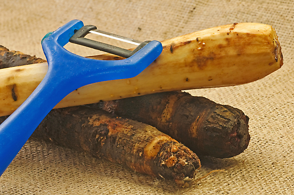 포토 JPG 해외이미지 채소 요리 사람없음 철 뿌리 단백질 스페인어 옛날 칼슘 해외포토 영양소 파일형식 이미지허브