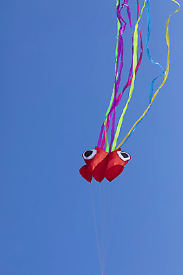 포토 JPG 해외이미지 리본 선 파도 분홍색 백그라운드 이동 컨셉 무지개 곡선 하늘 추상 종류 창조 사람없음 파란색 빛 노란색 디지털 축제 기쁨 축하 주름 변화 스페인 매끈함 혼합 묘사 연 코믹 문어 모음 강렬 구성 효과 해외포토 자연요소 감정 유럽 바다 컬러 무늬 연체동물 한글 놀이용품 수중동물 감각 파일형식 이미지허브