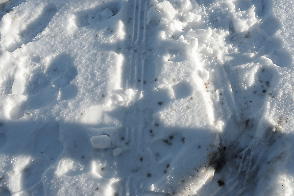 포토 JPG 해외이미지 모양 도로 모래 교통수단 백그라운드 겨울 패턴 자동차 자연 날씨 추상 거리 건조 사람없음 야외 하이앵글 갈색 환경 얼음 사막 바퀴 지저분함 발자국 오솔길 땅 방향 질감 먼지 점토 진흙 트랙터 짐차 끈적임 해외포토 자연요소 계절 길 육상교통 뷰포인트 컬러 교통 무늬 교통시설 자국 감각 농기계 생태계 특수차량 파일형식 이미지허브