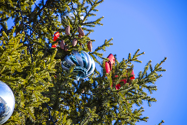 포토 JPG 해외이미지 나무 백그라운드 크리스마스 공 유리 하늘 휴가 새로움 요정 선물 사람없음 목재 장식 빨간색 초록색 파란색 빛 컬러풀 장난감 산타클로스 축제 화환 나뭇가지 축하 소나무 야간 소프트포커스 연도 구슬 오브젝트 귀 상록수 마법 빛망울 크리스마스배경 해외포토 자연요소 식물 기념일 꽃 컬러 컨셉 재료 재질 촬영기법 신체부위 파일형식 이미지허브