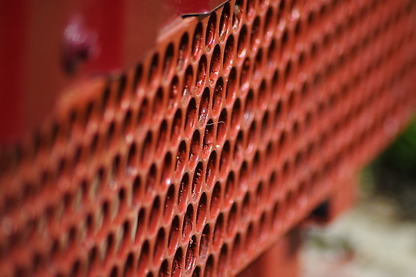 포토 JPG 해외이미지 벽 분홍색 패턴 밭 유리 세포 그림자 경사 잔디 사람없음 빨간색 초록색 울타리 금속 맑음 원형 체리 그릴 펜싱 창살 깊이 해외포토 도형 식물 스포츠 컬러 무늬 농업 과일 재질 주방용품 날씨 담장 파일형식 이미지허브