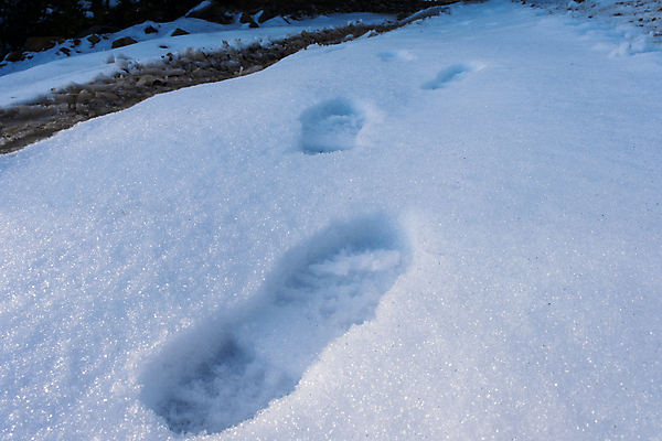 포토 JPG 해외이미지 계절 호수 백그라운드 신발 겨울 패턴 자연 날씨 추상 부츠 사람 사람없음 야외 파란색 강 걷기 환경 냉동 얼음 하이킹 추위 위험 발자국 오솔길 12월 사인 질감 단계 2월 기후변화 선로 양발 제설기 각인 카피스페이스 해외포토 자연요소 길 컬러 컨셉 무늬 자국 모션 레저 공백 날짜 변화 생태계 제설 파일형식 이미지허브