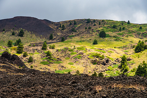 포토 JPG 해외이미지 공원 꽃 유럽 백그라운드 자연 하늘 산 파노라마 사람없음 검은색 이탈리아 하이킹 흐름 정상 폭발 지중해 언덕 화산 장면 분화구 용암 내추럴 재 전국 절정 지질학 해외포토 식물 공공시설 교육 나라 바다 컬러 컨셉 레저 촬영기법 생태계 파일형식 이미지허브