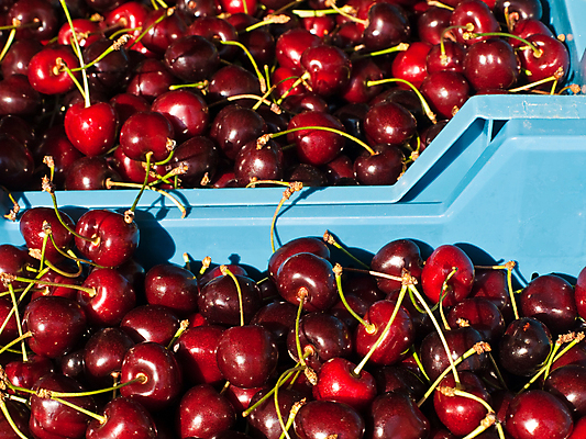 포토 JPG 해외이미지 음식 다이어트 과일 딸기 건강 사람없음 빨간색 달콤 해외포토 컬러 맛 파일형식 이미지허브