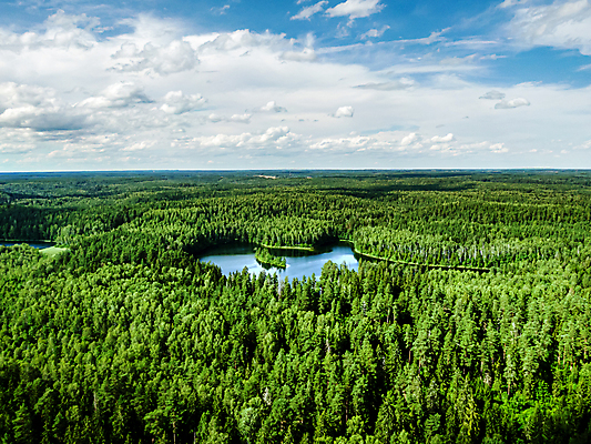 포토 JPG 해외이미지 나무 동물 공원 유럽 도로 길 호수 야생동물 백그라운드 캐나다 자연 하늘 주택 안테나 스웨덴 핀란드 풍경 사람없음 야외 목재 초록색 물 강 환경 시골 정상 숲 땅 시골집 머리위 사우나 넘어짐 드론 벨로루시 스칸디나비아 아마존 해외포토 자연요소 식물 공공시설 나라 컬러 북아메리카 재료 통신 교통시설 모션 북유럽 건물 생태계 파일형식 이미지허브