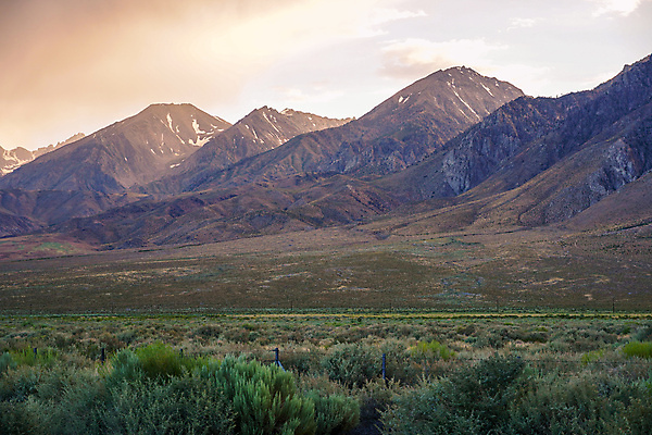 포토 JPG 해외이미지 나무 공원 여행 백그라운드 자연 하늘 산 파노라마 사람없음 야외 빛 컬러풀 태양 일출 계곡 미국 황혼 일몰 사막 황무지 저녁 캘리포니아 장면 폭풍 내추럴 웅장함 산맥 해외포토 자연요소 식물 공공시설 컬러 북아메리카 날씨 촬영기법 노을 야간 생태계 파일형식 이미지허브