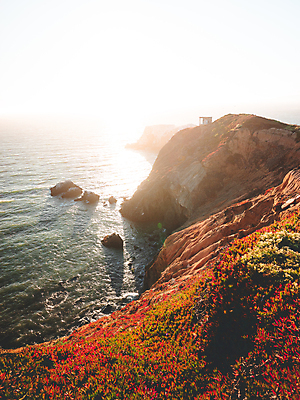 포토 JPG 해외이미지 바다 자연 사람없음 빛 햇빛 흰색 샌프란시스코 해외포토 컬러 태양 생태계 파일형식 이미지허브