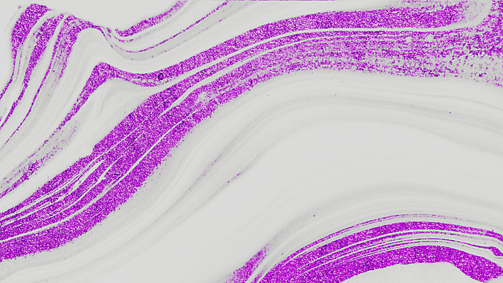 포토 JPG 해외이미지 디자인 벽 백그라운드 패턴 건축양식 자연 표면 바닥 사람없음 내부 장식 빛 주방 회색 수확 흰색 매끈함 계산대 타일 묘사 질감 대리석 내추럴 인공 화강암 효과 해외포토 건축 컬러 무늬 농업 재료 암석 감각 생태계 파일형식 이미지허브