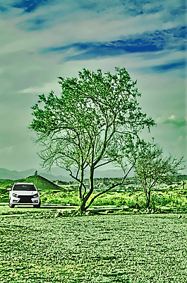 포토 JPG 해외이미지 나무 공원 길 여행 잎 가족 교통시설 자동차 자연 아침 거리 안전 사람 사람없음 야외 초록색 파란색 빛 햇빛 맑음 봄 운전 흰색 시골 바퀴 숲 타이어 장면 내추럴 방법 선로 해외포토 주간 식물 계절 공공시설 육상교통 컬러 교통 관계 모션 날씨 태양 시설 생태계 파일형식 이미지허브