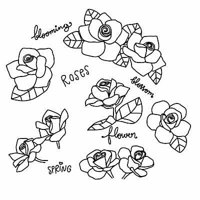 EPS 해외이미지 식물 손 디자인 꽃잎 꽃 실루엣 선 꽃다발 결혼 잎 꽃무늬 일러스트 자연 발렌타인데이 미술 그래픽 장식 세트 장미 정원 검은색 봄 벚꽃 흰색 신선 개화 낙서 만화 스케치 문신 그림 윤곽 내추럴 고립 엘리먼트 스타일 해외일러스트 계절 컬러 무늬 데이이벤트 문화예술 촬영기법 이벤트 신체부위 생태계 파일형식 벡터 이미지허브
