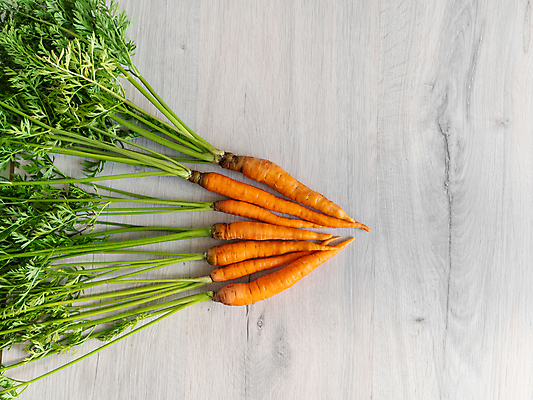 포토 JPG 해외이미지 식물 음식 백그라운드 잎 농업 다이어트 채소 오렌지 재료 건강 사람없음 목재 빨간색 초록색 컬러풀 농장 노란색 쌓기 정원 당근 수확 흰색 시골 신선 그룹 시장 맛 정상 다발 싱글 유기농 날것 뿌리 흙더미 내추럴 고립 바이오 숙성 채식주의자 비건 해외포토 나무 웰빙 산업 컬러 컨셉 과일 모션 뿌리채소 흙 채식 파일형식 더미 이미지허브