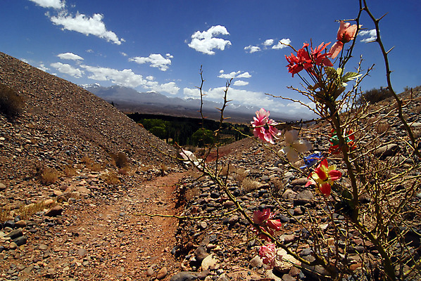 포토 JPG 해외이미지 사람없음 죽음 이별 묘사 출발 애도 아르헨티나 장례 장례식 해외포토 컨셉 남아메리카 파일형식 이미지허브
