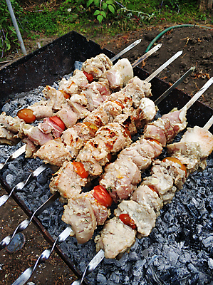 포토 JPG 해외이미지 사람없음 야외 캠핑 꼬치 그릴 바비큐 굽기 꼬치구이 해외포토 음식 주방용품 레저 구이 파일형식 이미지허브