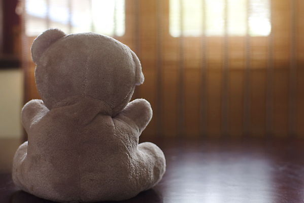 포토 JPG 해외이미지 동물 1 디자인 어린이 백그라운드 컨셉 곰 자연 탁자 휴가 바닥 아이디어 선물 사랑 미술 앉기 사람없음 목재 장난감 갈색 수확 아기 신용카드 오브젝트 사인 복고 옛날 필터 혼자 해외포토 나무 감정 컬러 가구 농업 재료 포유류 모션 문화예술 사람 금융 생태계 파일형식 이미지허브