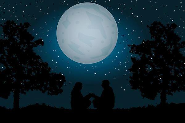 EPS 해외이미지 모양 나무 커플 여자 남자 행복 실루엣 별 결혼 백그라운드 2 일러스트 관계 자연 하늘 결혼식 휴가 함께함 발렌타인데이 관리 사랑 사람 풍경 소년 여름 빛 청춘 어둠 신혼여행 달 잡기 신용카드 야간 저녁 달빛 가득함 공상 2월 해외일러스트 자연요소 식물 계절 감정 어린이 컨셉 모션 데이이벤트 촬영기법 이벤트 금융 날짜 생태계 파일형식 벡터 이미지허브